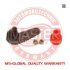 Купити Опора кульова VW, AUD (MASTER SPORT) Audi 80 MSG 10038-PCS-MS (фото1) підбір по VIN коду, ціна 419 грн.