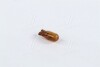 Купить Лампа накаливания WY5W 12V 5W W2,1X9,5d AMBER (пр- Suzuki SX4, Fiat Fiorino, Hyundai Sonata, Mazda CX-7, BMW E91, KIA Sorento, Nissan X-Trail, Jeep Grand Cherokee, Opel Meriva, Renault Clio, Peugeot 407 NARVA 17169CP (фото1) подбор по VIN коду, цена 36 грн.