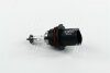 Купить Лампа розжарювання HB5 12V 65/55W PX29t HALOGEN NARVA 48007C1 (фото1) подбор по VIN коду, цена 258 грн.