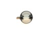 Купити Автолампа H15 12V 55/15W PGJ23T-1 Fiat Ducato, Volkswagen Golf, Audi A6, Volkswagen Touareg, Audi A1, Q7, Ford Fiesta, Volkswagen Tiguan, Amarok, Mazda 3, Ford Mondeo NARVA 480703000 (фото3) підбір по VIN коду, ціна 980 грн.