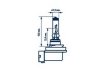 Купить H11 LONG LIFE 12V 65W PGJ192 Renault Clio, Porsche 911, BMW E46, Citroen Xsara, BMW X5, Opel Astra, Nissan Almera, Ford Mondeo, Renault Laguna, Audi A4, Mini Cooper NARVA 48078 (фото1) подбор по VIN коду, цена 403 грн.