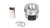 Купить Поршень Renault Master/Opel Movano 2.3dCI/CDTI 14- (85.00mm/+0.50) = 7138255000 Renault Master, Opel Movano NPR 130 038 0014 21 (фото1) подбор по VIN коду, цена 3410 грн.