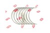 Купити Вкладиші шатунні Opel Ascona 1.6D/Astra 1.7D/Vectra 1.8i/2.0i (STD) = 6135510000 Opel Kadett, Ascona, Vectra, Rekord, Omega, Astra, Frontera, Daewoo Nubira, Leganza, Lada 2110, Chevrolet Evanda NPR 181 035 0002 00 (фото1) підбір по VIN коду, ціна 622 грн.