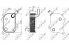 Купити Радиатор масла Audi A4A6 2.0E (01-05) VW B-5 2.0E NRF 31237 (фото5) підбір по VIN коду, ціна 4528 грн.