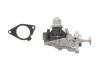 Купити Клапан EGR BMW 3 (F30/G20)/5 (F10/G30) 09- (B47/B57) NRF 48733 (фото1) підбір по VIN коду, ціна 4816 грн.