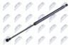 Купить АМОРТИЗАТОР (ГАЗОВА ПРУЖИНА) | L=434MM, F=585N TOYOTA COROLLA 02-07 /COMBI/ Toyota Corolla NTY aety005 (фото1) подбор по VIN коду, цена 241 грн.