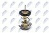 Купить Термостат Land Rover Discovery, Range Rover NTY ctmlr000 (фото1) подбор по VIN коду, цена 408 грн.