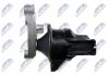 Купити Опора двигуна HONDA CIVIC VIII 1.8 09.05-02.12 Honda Civic NTY zps-hd-012 (фото5) підбір по VIN коду, ціна 1794 грн.