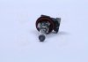 Купити Автолампа (H11 12V 55W) Renault Megane, Suzuki Swift, Ford C-Max, Mitsubishi ASX, Citroen C4, Mitsubishi Outlander, Porsche Boxster, Suzuki SX4, Land Rover Discovery, Toyota Land Cruiser, Opel Astra OSRAM 64211 (фото4) підбір по VIN коду, ціна 427 грн.