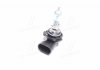 Купити Автолампа (HB4 12V 51W P22D) Mitsubishi Outlander, Seat Ibiza, Leon, Hyundai Sonata, Volkswagen Touran, Lexus IS, Mitsubishi Lancer, BMW E91, Toyota Land Cruiser, Mazda Xedos 9, BMW E36 OSRAM 9006NL (фото4) підбір по VIN коду, ціна 705 грн.