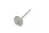 Купить Клапан-INT/1.5SOHC LANOS(T100) (PMC-ESSENCE) PARTS-MALL hczc-007 (фото2) подбор по VIN коду, цена 126 грн.