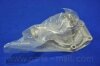 Купить PMC - Насос охолоджуючої рідини Hyundai Lantra PARTS-MALL pha-025 (фото2) подбор по VIN коду, цена 1589 грн.
