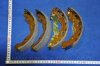 Купить PMC - Гальмівні колодки до барабанів Hyundai Accent PARTS-MALL pla-011 (фото2) подбор по VIN коду, цена 803 грн.