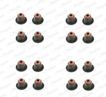 Сальник клапана (компл.) BMW N42/N46 (16PCS) Payen hr5086