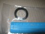 Купити Ущільнююче кільце Volkswagen Golf, Vento, Seat Ibiza, Volkswagen Polo, Seat Cordoba, Skoda Felicia, Volkswagen Caddy, Skoda Octavia, Volkswagen Bora, Audi A2, Skoda Fabia Payen na5185 (фото1) підбір по VIN коду, ціна 154 грн.
