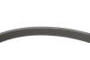 Купити Комплект ременя генератора Citroen Jumpy/Peugeot Expert 2.0 BlueHDi 16- Peugeot/Citroen 1687977080 (фото9) підбір по VIN коду, ціна 4890 грн.
