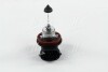 Купить Лампа розжарювання H16 12V 19W PGJ19-3 STANDARD 3200K Renault Megane, Toyota Land Cruiser, Lexus RX, Renault Fluence, Dacia Duster, Renault Scenic, Grand Scenic, Toyota Yaris, SsangYong Korando, Renault Latitude, Kangoo PHILIPS 12366C1 (фото2) подбор по VIN коду, цена 782 грн.