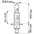 Купити Лампочки освітлення, ксенон, LED PHILIPS 13258MLC1 (фото3) підбір по VIN коду, ціна 501 грн.