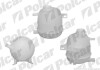 Купить Бачок стеклоомывателя Renault Megane 1.4-1.9 96- Renault Megane, Scenic Polcar 6007ZB-1 (фото1) подбор по VIN коду, цена 498 грн.