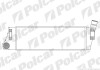 Купити Інтеркулер Renault Grand Scenic, Megane 1.5D/1.9D/2.0 09.02- Renault Megane, Scenic, Grand Scenic Polcar 6012J8-1 (фото1) підбір по VIN коду, ціна 4417 грн.