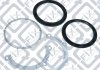 Купить Ремкомплект сальников поворотного кулака Nissan Patrol Q-fix q094-0568 (фото1) подбор по VIN коду, цена 340 грн.