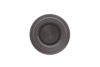Купить Поршень супорта (заднього) Citroen C5 01- (d=32mm) QUICK BRAKE 185040K (фото3) подбор по VIN коду, цена 240 грн.