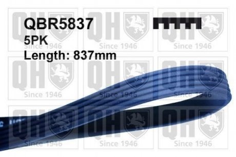 Купить РЕМЕНЬ КЛИНОВЫЙ 5PK#837 BMW E46, E39, Suzuki SX4, Swift QUINTON HAZELL qbr5837 (фото1) подбор по VIN коду, цена 307 грн.