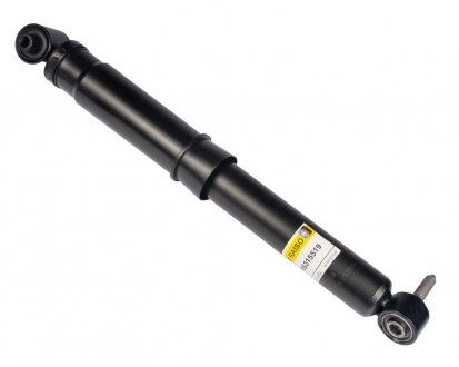 Амортизатор задній Renault Grand Scenic III, Scenic III 09- (газ.) Renault Grand Scenic Raiso rs315519
