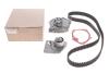 Купить Комплект ГРМ (+ помпа) 1,9 dci Megane II (02-09) RENAULT 119A01812R (фото2) подбор по VIN коду, цена 4807 грн.
