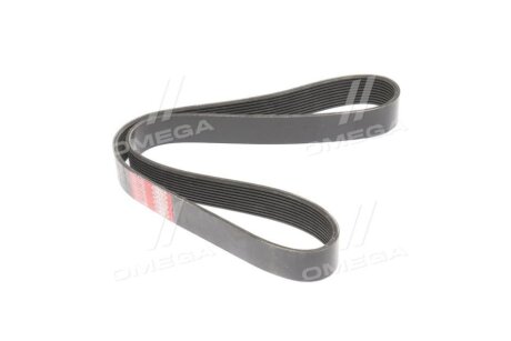 Ремінь поліклін. 10PK1145 TRUCK RIDER rd 10pk1145epdm