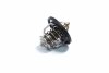 Купити Термостат HYUNDAI ACCENT 00-10, TUCSON 04- RIDER rd.1517629482 (фото1) підбір по VIN коду, ціна 235 грн.