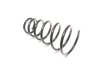 Купить Пружина підв. HYUNDAI TUCSON, KIA SPORTAGE 04- задн. Hyundai Tucson, KIA Sportage RIDER rd.28110023 (фото1) подбор по VIN коду, цена 1071 грн.