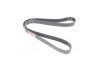 Купить Ремінь поліклін. 8PK1375 TRUCK Audi 80, 100, Volkswagen Polo, Golf, Jetta, Passat, Scirocco, Transporter, LT, Caddy RIDER rd 8pk1375epdm (фото1) подбор по VIN коду, цена 396 грн.