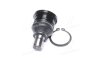 Купить Опора кульова FORD FIESTA VI, B-MAX 08- RIDER rd.99351737309 (фото1) подбор по VIN коду, цена 338 грн.