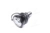 Купить Опора кульова FORD FIESTA VI, B-MAX 08- RIDER rd.99351737309 (фото3) подбор по VIN коду, цена 338 грн.