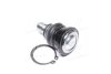 Купить Опора кульова FORD FIESTA VI, B-MAX 08- RIDER rd.99351737309 (фото4) подбор по VIN коду, цена 338 грн.