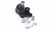 Купити Опора кульова FORD MONDEO 93-00 RIDER rd.993517791 (фото1) підбір по VIN коду, ціна 364 грн.