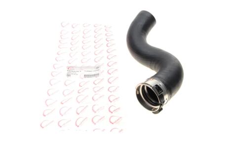 Патрубок інтеркулера Renault Megane III/Scenic III 1.9 dCi 08- ROTWEISS rws2376