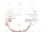 Купити Прокладка колектора впускного Renault Kangoo/Laguna II/Trafic 1.4-2.0 01- ROTWEISS rws2845 (фото2) підбір по VIN коду, ціна 153 грн.