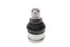 Купити Опора кульова (передня/знизу) Ford Edge/Lincoln MKX 06- (d=43.9mm/22mm) RTS 93-90694 (фото3) підбір по VIN коду, ціна 613 грн.