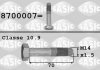 Купить Болт коленвала Citroen C4, Peugeot 508, 405, 605, 306, Citroen C5, Peugeot Boxer, Citroen Jumper, Peugeot 806, 406, Citroen C8 SASIC 8700007 (фото1) подбор по VIN коду, цена 310 грн.