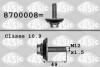 Купити Болт коленвалу Citroen C4, Peugeot 5008, Citroen DS4, C3, Berlingo, Peugeot 208, Citroen DS5, Peugeot Partner, Citroen DS3, Peugeot 508, 206 SASIC 8700008 (фото1) підбір по VIN коду, ціна 433 грн.