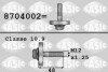 Купити Болт шківа коленвала Renault Megane, Fluence, Scenic, Clio, Laguna, Espace, Sandero, Grand Scenic, Trafic, Opel Vivaro, Renault Kangoo SASIC 8704002 (фото1) підбір по VIN коду, ціна 329 грн.