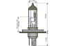 Купити H4 Basic 24V 7570W P43t SCT / Mannol 202167 (фото2) підбір по VIN коду, ціна 143 грн.