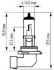 Купити HB4 White 12V 51W P22d Toyota Celica, Land Cruiser, Jaguar XJ, Toyota Yaris, Mitsubishi Pajero, Mercedes W203, Toyota Rav-4, BMW E46, Toyota Corolla, Mercedes S203, CLK-Class SCT / Mannol 202594 (фото2) підбір по VIN коду, ціна 233 грн.