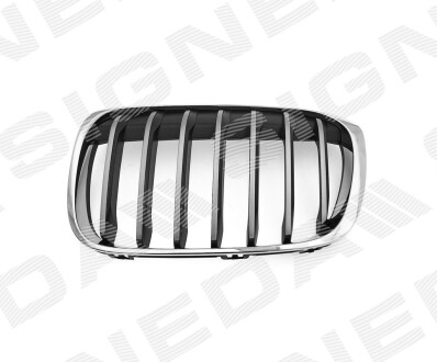 Решітка радіатора BMW X1 (F48), 15 - Signeda pbm07127gal