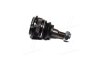 Фото опора кульова HYUNDAI ACCENT (SPEEDMATE, Korea) Hyundai IX20, Accent, Sonata, Lantra, Coupe, I20, KIA Rio, Hyundai Elantra, Matrix, Getz, KIA Cerato SK SPEEDMATE smbjh033 Купити Опора кульова HYUNDAI ACCENT (SPEEDMATE, Korea) Hyundai IX20, Accent, Sonata, Lantra, Coupe, I20, KIA Rio, Hyundai Elantra, Matrix, Getz, KIA Cerato SK SPEEDMATE sm-bjh033 (фото1) підбір по VIN коду, ціна 344 грн.