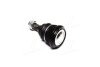 Фото опора кульова HYUNDAI ACCENT (SPEEDMATE, Korea) Hyundai IX20, Accent, Sonata, Lantra, Coupe, I20, KIA Rio, Hyundai Elantra, Matrix, Getz, KIA Cerato SK SPEEDMATE smbjh033 Купити Опора кульова HYUNDAI ACCENT (SPEEDMATE, Korea) Hyundai IX20, Accent, Sonata, Lantra, Coupe, I20, KIA Rio, Hyundai Elantra, Matrix, Getz, KIA Cerato SK SPEEDMATE sm-bjh033 (фото3) підбір по VIN коду, ціна 344 грн.