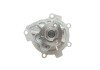 Купити Комплект ГРМ + помпа Opel Astra J/Insignia A/Mokka/Zafira 1.6-1.8 08- (24x146z) Opel Astra, Chevrolet Cruze, Opel Zafira, Chevrolet Aveo, Opel Corsa, Vectra, Meriva, Fiat Croma, Alfa Romeo 159, Opel Insignia SKF vkmc 05260-1 (фото12) підбір по VIN коду, ціна 5035 грн.