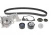 Купити Комплект ГРМ + помпа Renault Clio III/Laguna III/Megane III/ Scenic III 1.6 16V 05- (27x132z) Renault Megane, Fluence, Scenic, Clio, Grand Scenic, Laguna SKF vkmc06021 (фото2) підбір по VIN коду, ціна 4401 грн.